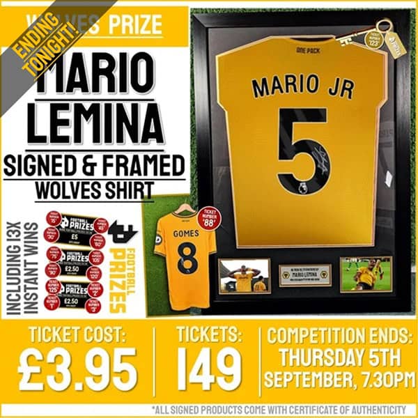 Mario Lemina