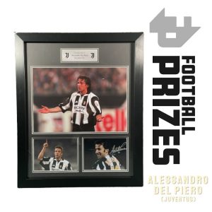 Del Piero Juventus Mount 1