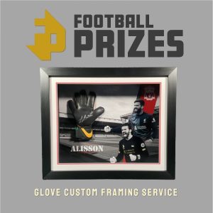 FP glove cutom framing 1